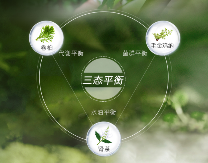 舒霖头皮&ldquo;三态平衡&rdquo;理念成为中国头皮护理行业标杆