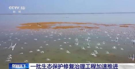 筑牢生态屏障 农业面源污染拦截与湿地修复工程全面加速