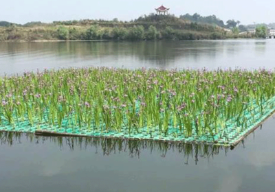 人工浮岛探秘 河流生态浮岛的作用与恢复时长解析