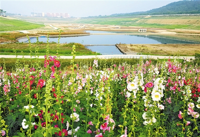 砥砺奋进五年间 生态文明建设展区见证绿色奇迹